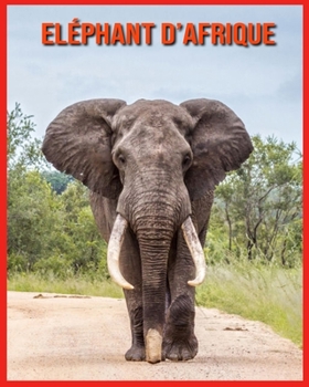 El?phant d'Afrique: Informations Tr?s Amusantes et Photos Etonnantes