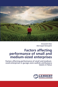 Paperback Factors affecting performance of small and medium-sized enterprises Book