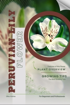 Peruvian Lily: Flower overview and Growing Tips