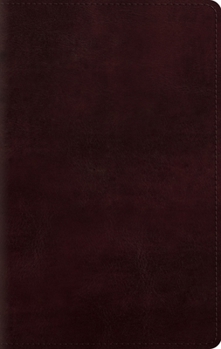 Imitation Leather Large Print Personal Size Bible-ESV [Large Print] Book