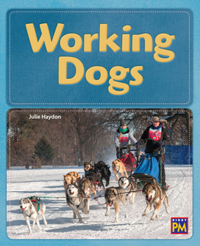 Paperback Working Dogs: Leveled Reader Gold Level 22 Book