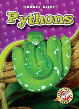 Pythons (Paperback) - Book  of the Snakes Alive