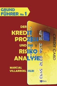 Paperback Grundführer Der Kreditprozess Und Die Risikoanalyse [German] Book