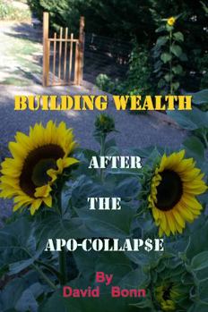 Paperback BUILDING WEALTH AFTER THE APO-COLLAP$E Book