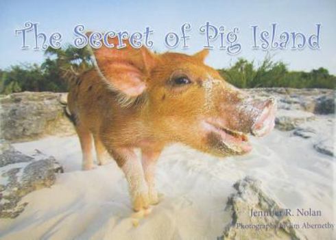 Hardcover The Secret of Pig Island Book