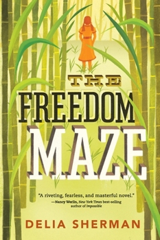 Paperback The Freedom Maze Book