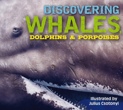 Hardcover Discovering Whales, Dolphins and Porpoises: The Ultimate Guide to the Ocean's Largest Mammals Book