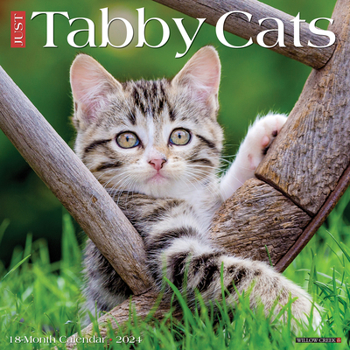 Calendar Just Tabby Cats 2024 12 X 12 Wall Calendar Book