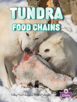 Paperback Tundra Food Chains Book