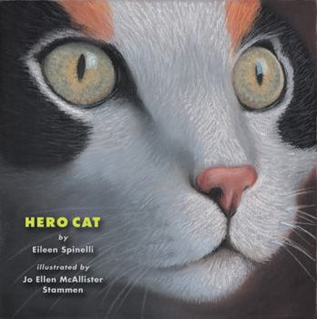 Hardcover Hero Cat Book