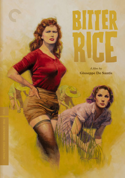 DVD Bitter Rice Book