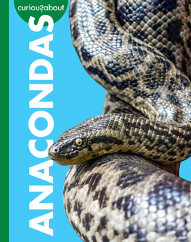 Library Binding Curious about Anacondas Book