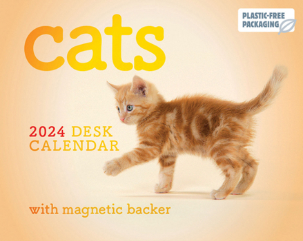 Calendar 2024 Cats Mini Box Calendar Book