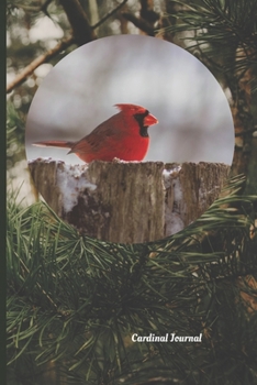 Paperback Cardinal Journal: Visitor From Heaven Book