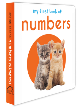Board book My First Book of Numbers Book