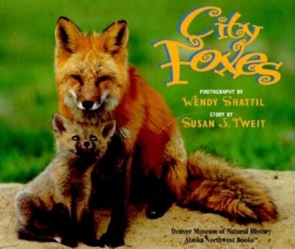 Hardcover City Foxes Book