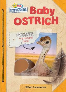 Paperback Active Minds Explorers: Baby Ostrich (Active Minds Explorers: Baby Animals) Book