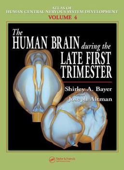 Hardcover The Human Brain During the Late First Trimester Book