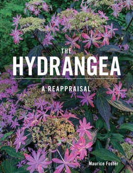 Hardcover The Hydrangea: A Reappraisal Book
