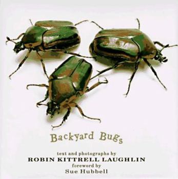 Hardcover Backyard Bugs Book