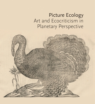 Paperback Picture Ecology: Art and Ecocriticism in Planetary Perspective Book