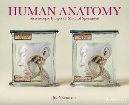 Hardcover Human Anatomy: Stereoscopic Images of Medical Specimens Book