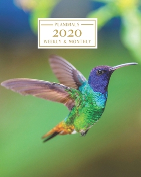 Paperback 2020: Weekly and Monthly Planner/Calendar Jan 2020 - Dec 2020 Pretty Hummingbird Book