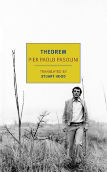 Paperback Theorem Book