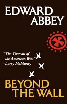 Paperback Beyond the Wall: Essays from the Outside Book