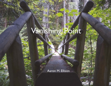 Paperback Vanishing Point: Volume 1 Book