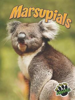 Library Binding Marsupials Book