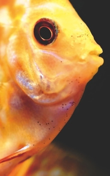 Notebook: Fish Aquarium Swim Underwater