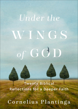 Hardcover Under the Wings of God: Twenty Biblical Reflections for a Deeper Faith Book