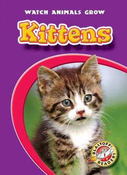 Kittens - Book  of the Watch Animals Grow