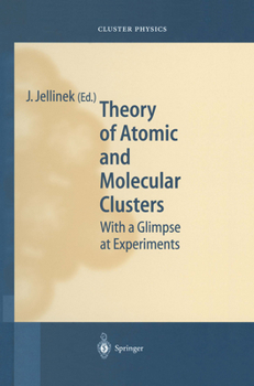 Hardcover Theory of Atomic and Molecular Clusters Book