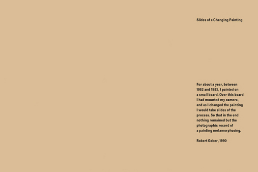 Paperback Robert Gober: Slides of a Changing Painting Book