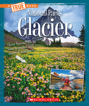 Library Binding Glacier (a True Book: National Parks) Book