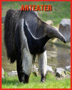 Paperback Anteater: Amazing Pictures & Fun Facts on Animals in Nature Book