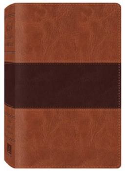 King James Study Bible 132