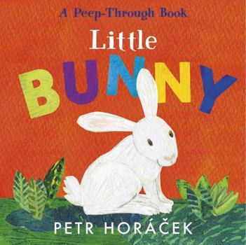 LITTLE BUNNY