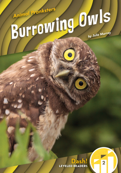 Library Binding Burrowing Owls Book