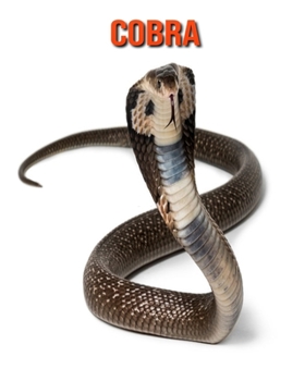 Paperback Cobra: Immagini bellissime e fatti interessanti Libro per bambini sui Cobra [Italian] Book