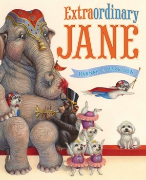 Hardcover Extraordinary Jane Book