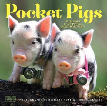 Pocket Pigs Wall Calendar 2018