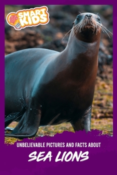 Unbelievable Pictures and Facts About Sea Lions