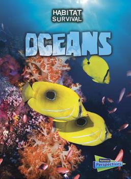 You Are the Expert: Ocean