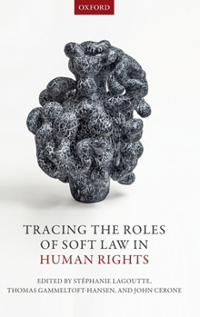 Hardcover Tracing the Roles of Soft Law in Human Rights Book