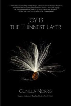 Hardcover Joy Is the Thinnest Layer Book