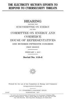 Paperback The electricity sector's efforts to respond to cybersecurity threats Book