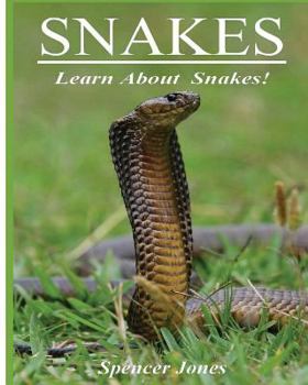 Paperback Snakes: Fun Facts & Amazing Pictures - Learn About Snakes Book